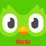 Duolingo Apk