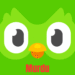 Duolingo Apk